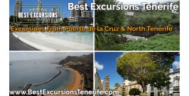 Excursions From Puerto de la Cruz & North Tenerife